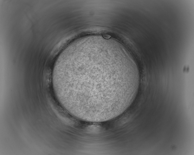 X0000114530119200911091119