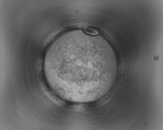 X0000114530120200911091119