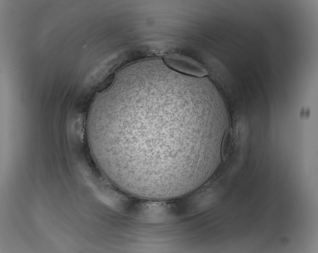 X0000114530121200911091119