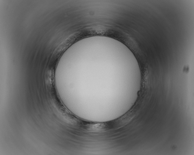 X0000114530122200911091119