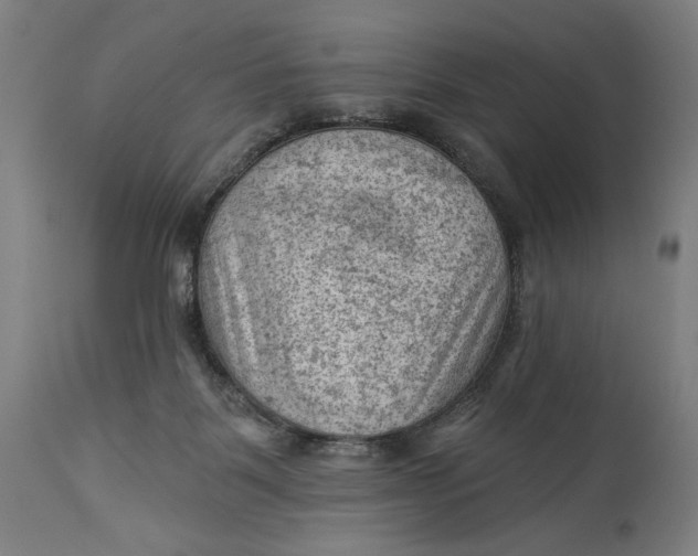 X0000114530123200911091119