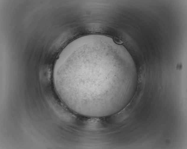 X0000114530124200911091119