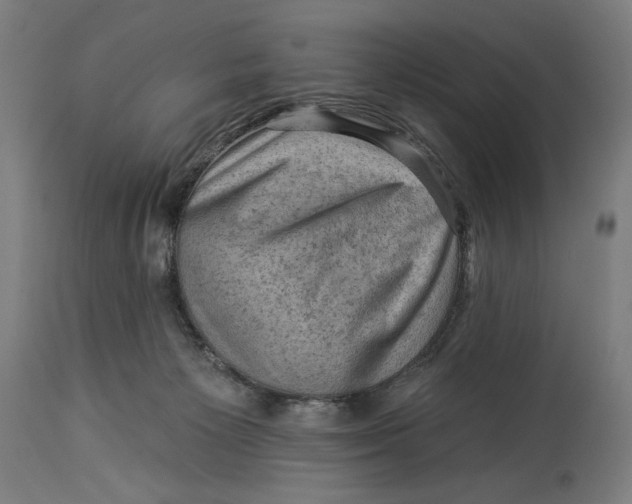 X0000114530125200911091119
