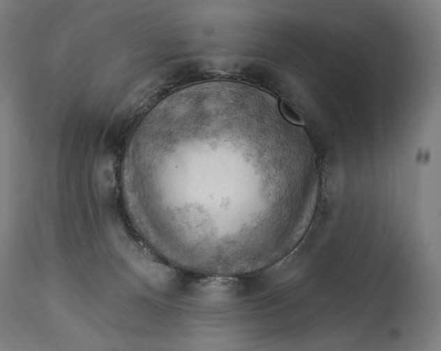 X0000114530128200911091119