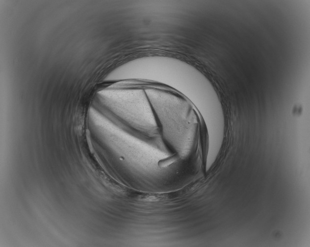 X0000114530129200911091119