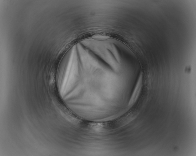 X0000114530131200911091119
