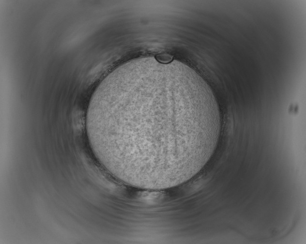 X0000114530135200911091119