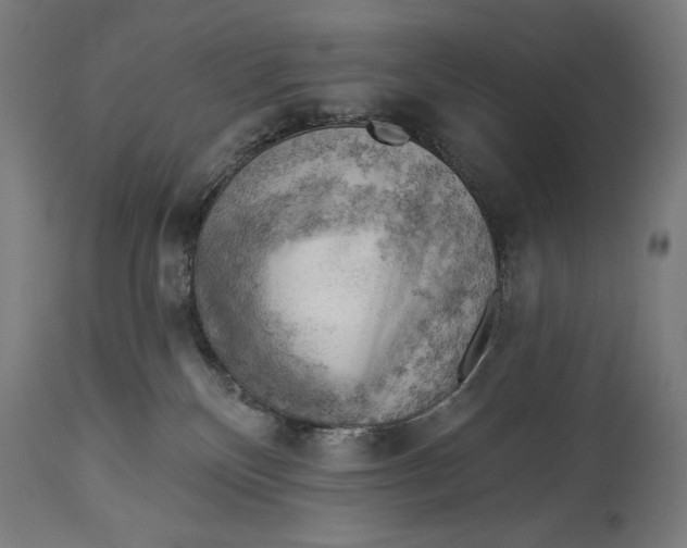X0000114530136200911091119