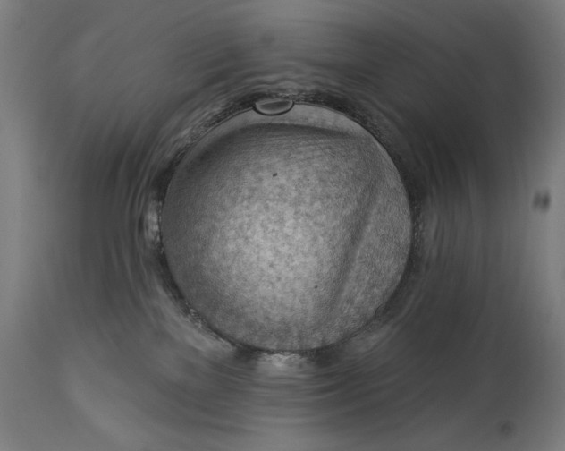 X0000114530137200911091119