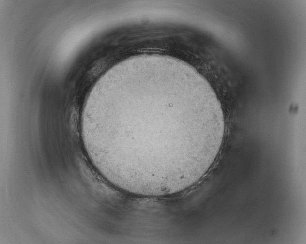 X0000114530146200911091118