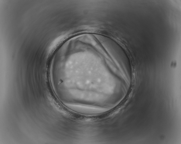 X0000114530149200911091118