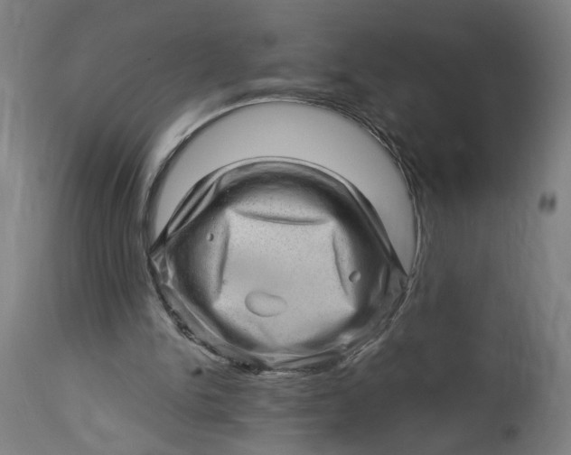 X0000114530150200911091118