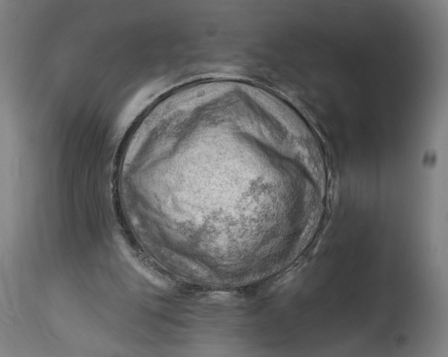 X0000114530151200911091118