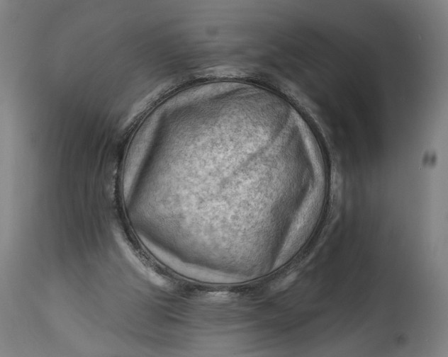 X0000114530153200911091118