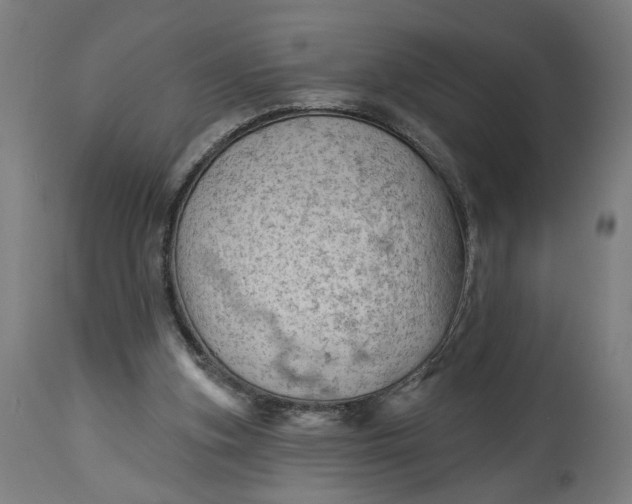 X0000114530155200911091118