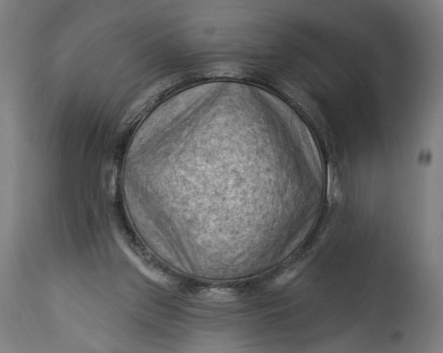 X0000114530157200911091118