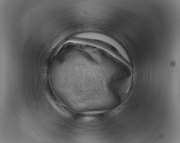 X0000114530158200911091118