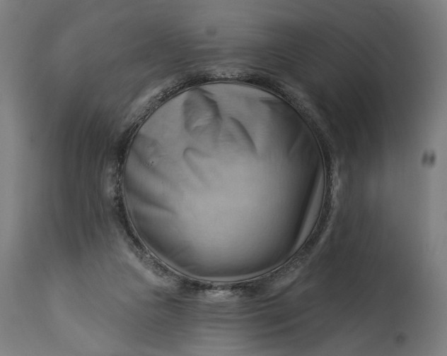 X0000114530161200911091118