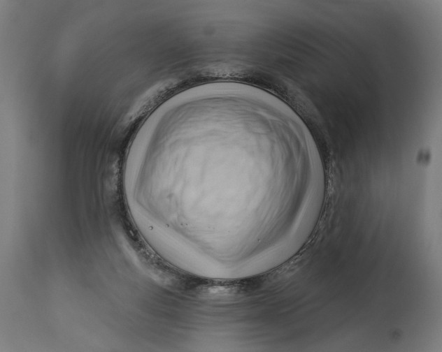 X0000114530163200911091118