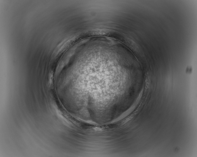 X0000114530166200911091118