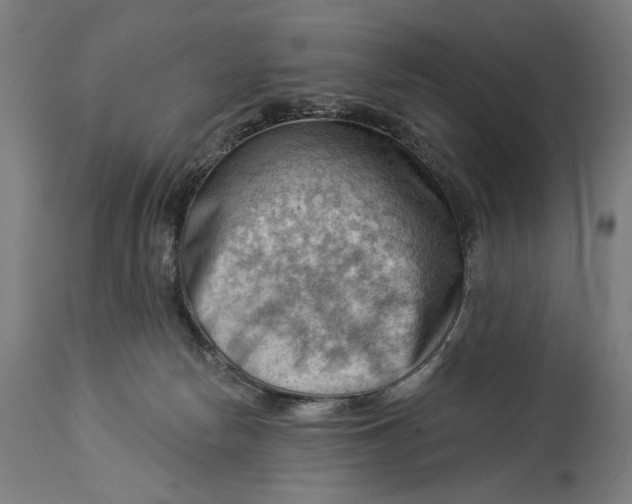 X0000114530178200911091118