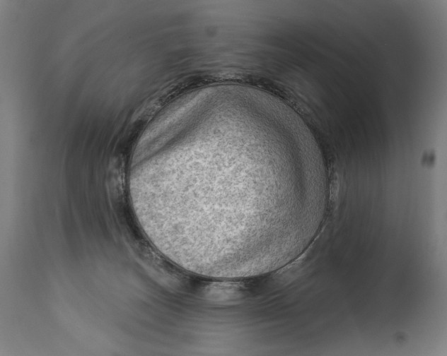 X0000114530179200911091118