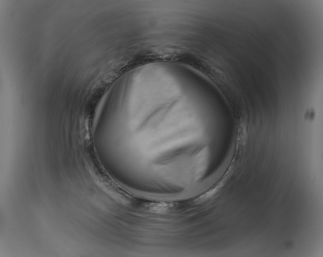 X0000114530182200911091118