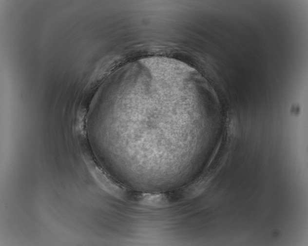 X0000114530185200911091119