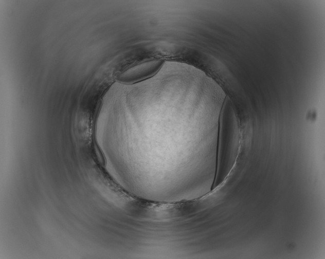X0000114530186200911091119