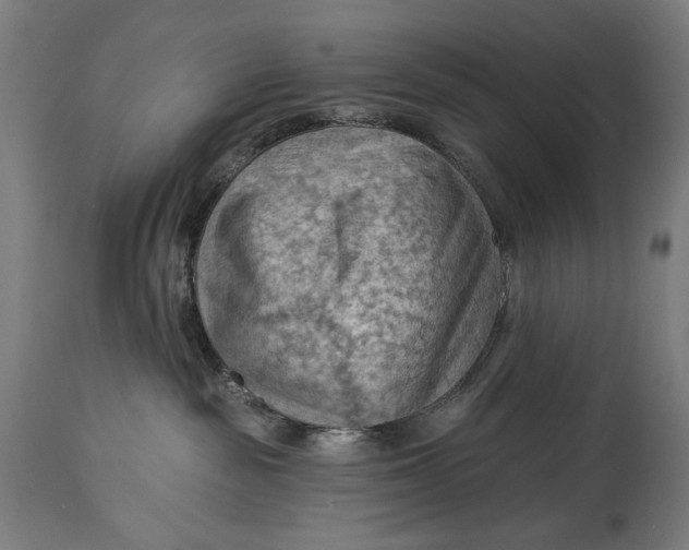 X0000114530189200911091119