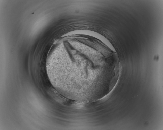 X0000114530190200911091119