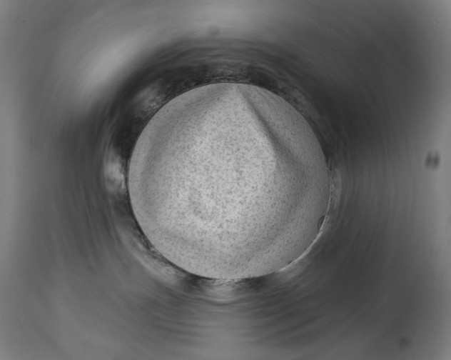 X0000114530191200911091119