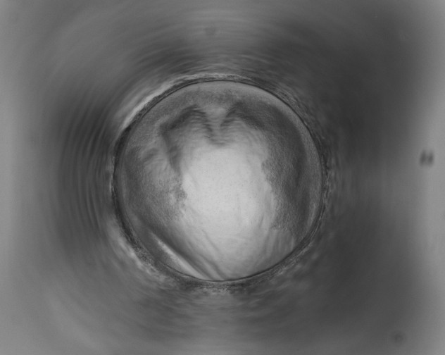 X0000114530194200911091118