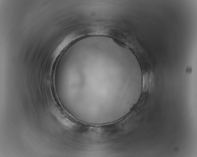 X0000114530195200911091118