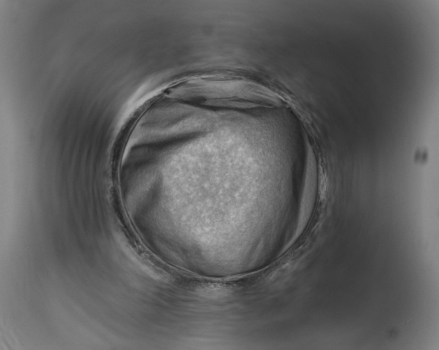 X0000114530198200911091118
