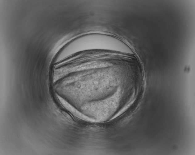 X0000114530199200911091118