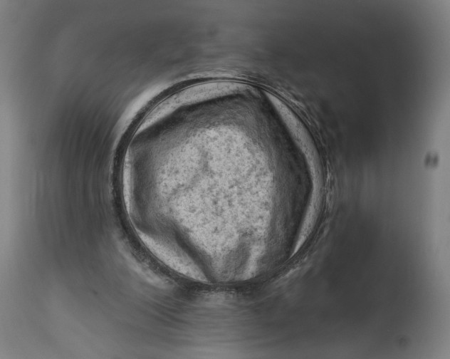 X0000114530200200911091118