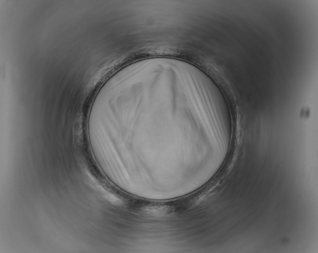 X0000114530202200911091118