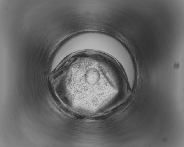 X0000114530203200911091118