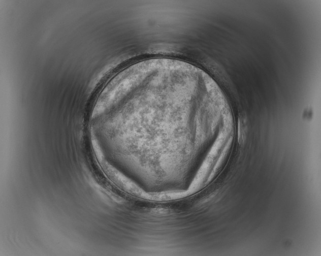 X0000114530204200911091118