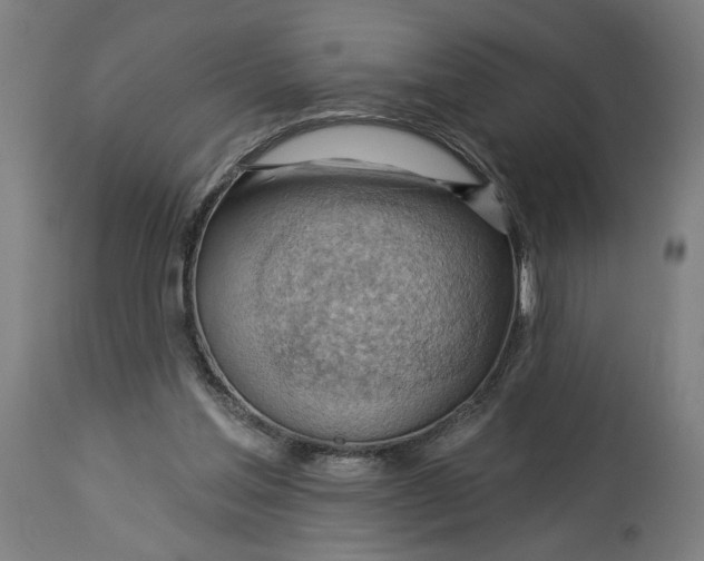 X0000114530205200911091118