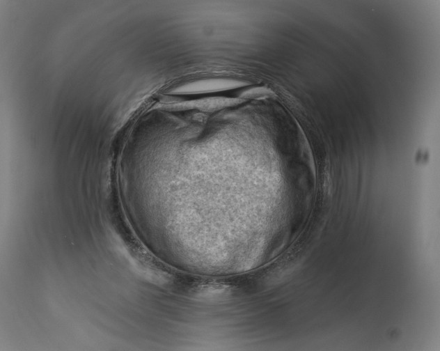 X0000114530206200911091118