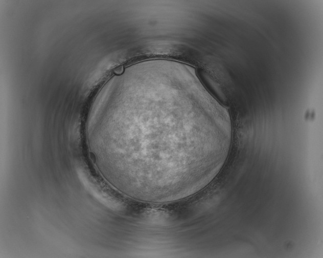 X0000114530207200911091118