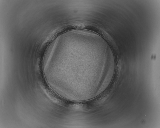 X0000114530209200911091118