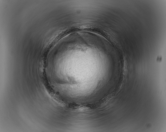 X0000114530210200911091118