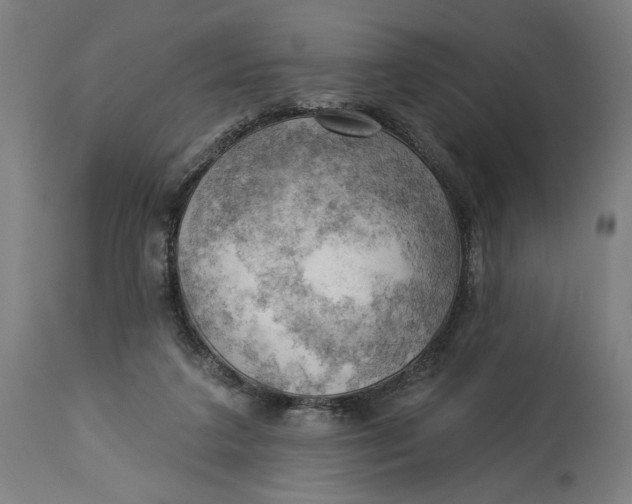 X0000114530211200911091118