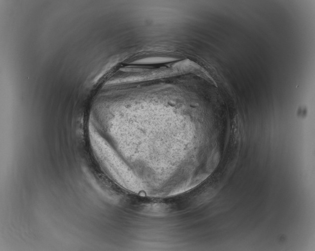 X0000114530212200911091118