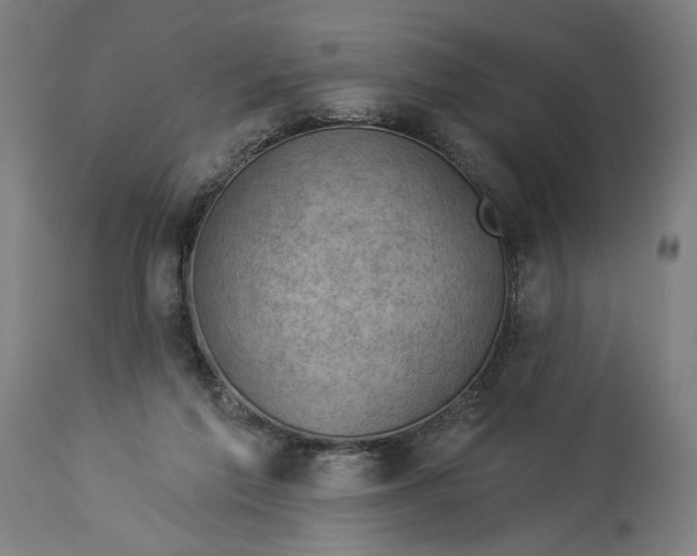 X0000114530213200911091118