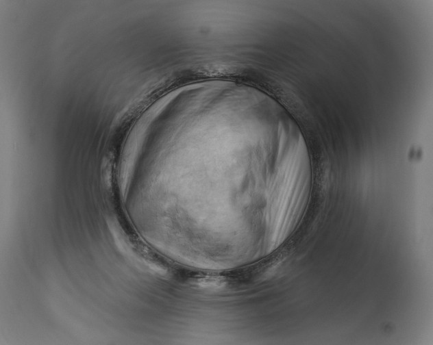 X0000114530214200911091118