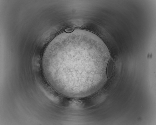 X0000114530215200911091118